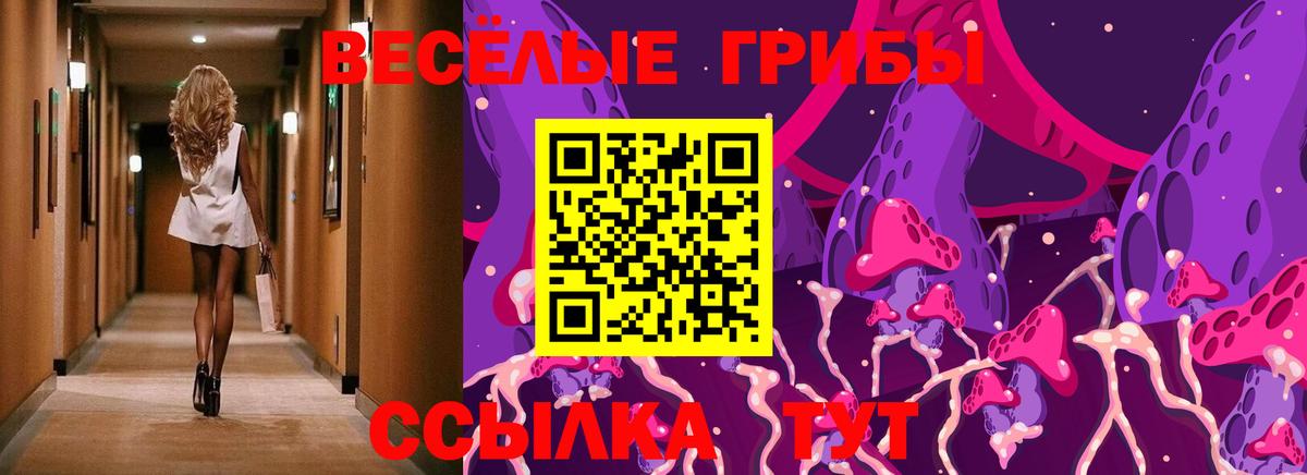 Псилоцибиновые грибы MAGIC MUSHROOMS Рубцовск
