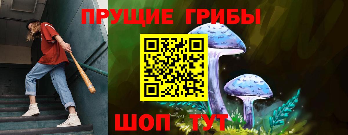 Галлюциногенные грибы Psilocybe  Вход с VPN  Галлюциногенные грибы мухоморы  Рубцовск 